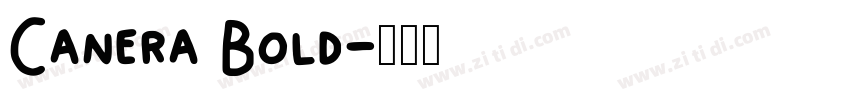Canera Bold字体转换